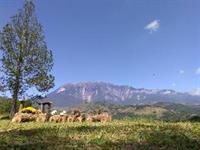 Jabez Resort Ranau Eksteriør bilde